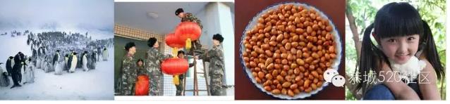 看图猜恭城美食，猜对有奖励哦537 / 作者:摘颗星星送给你 / 帖子ID:185076