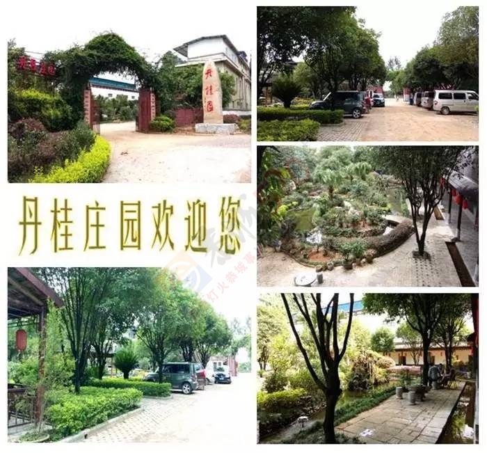 又到恭城人杀年猪的时刻了！就问你一句，约吗？666 / 作者:千变万幻 / 帖子ID:186133