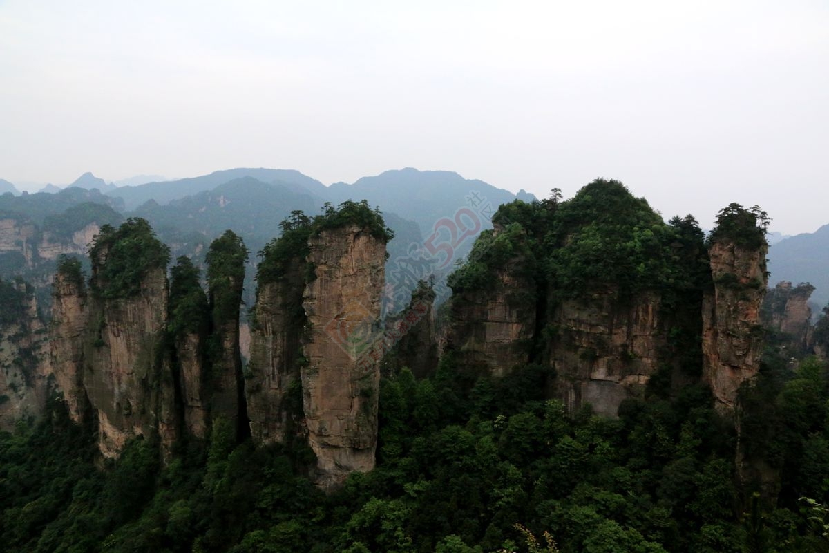 张家界森林公园~天门山~凤凰古城最精华四日游路线推存426 / 作者:张家界旅游 / 帖子ID:186420