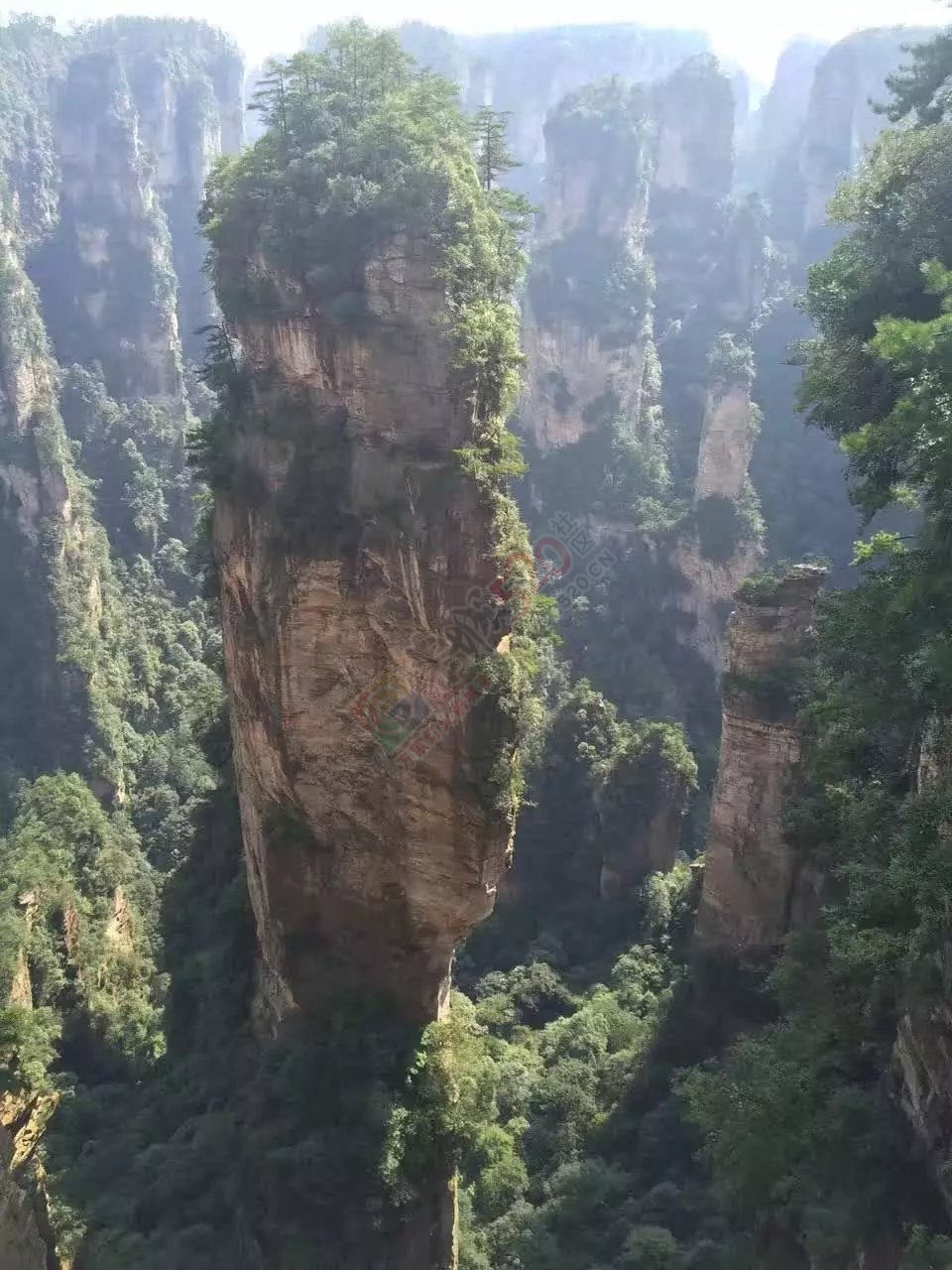 张家界森林公园~天门山~凤凰古城最精华四日游路线推存274 / 作者:张家界旅游 / 帖子ID:186420