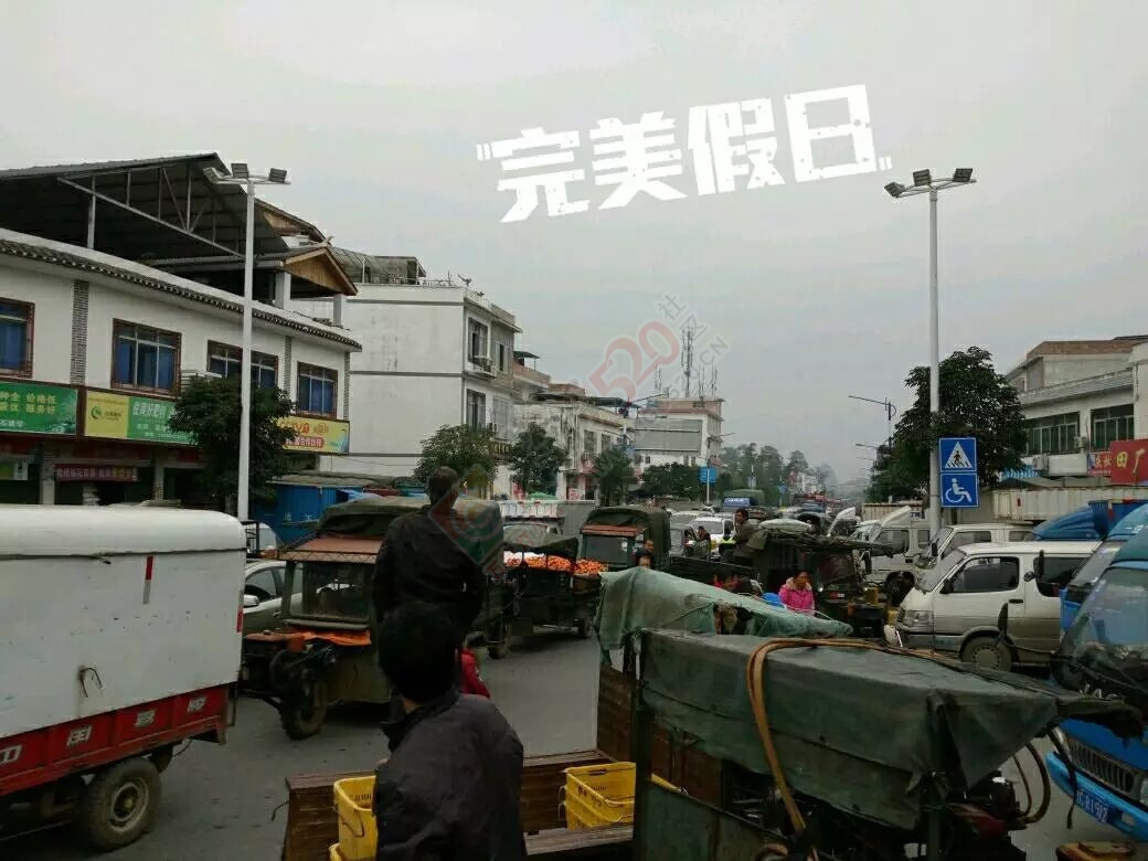 在这里看风景……298 / 作者:罗少爷 / 帖子ID:186470