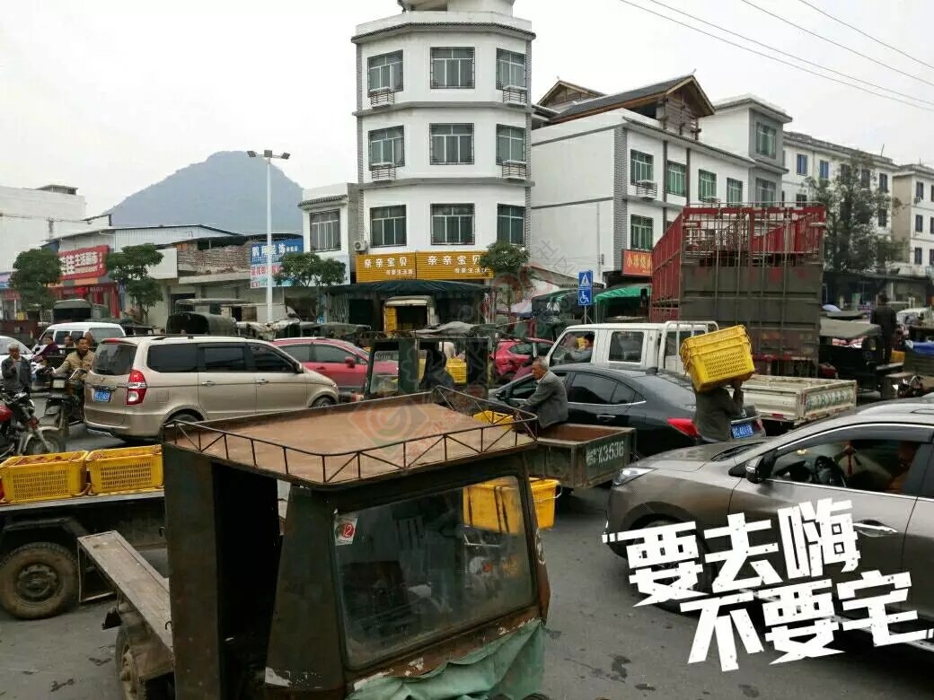 在这里看风景……632 / 作者:罗少爷 / 帖子ID:186470