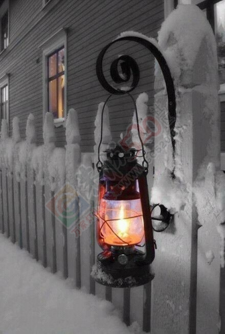 散文诗歌-孤影743 / 作者:茶江飞雪 / 帖子ID:187437