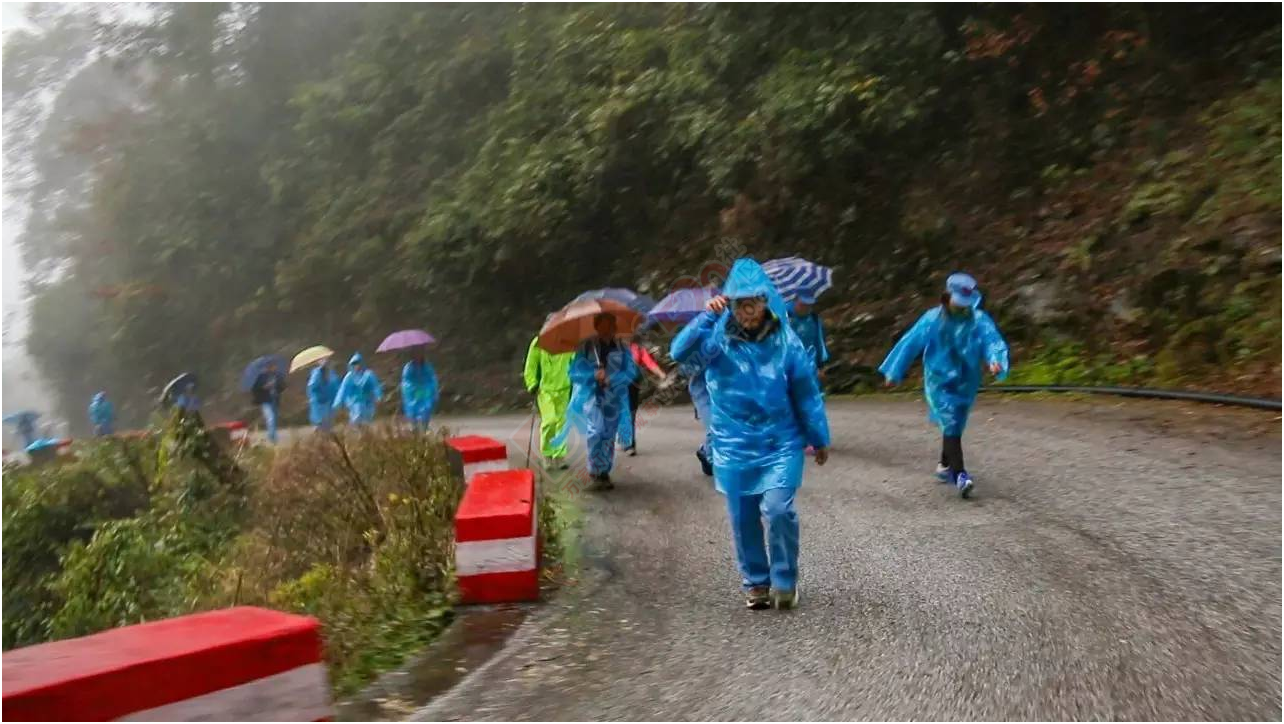 八桂网友齐聚猫儿山，纪念红军长征胜利壮举561 / 作者:社区小编 / 帖子ID:190931