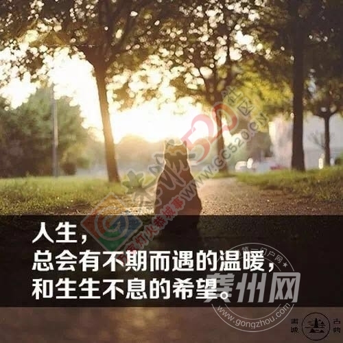 2017，你好！440 / 作者:admin / 帖子ID:191057
