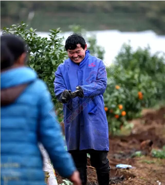 千万富姐挑粪种果 曾被逼无奈欲跳楼805 / 作者:怡儿妖妖 / 帖子ID:191591