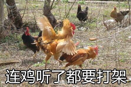 千万富姐挑粪种果 曾被逼无奈欲跳楼462 / 作者:735296525 / 帖子ID:191591