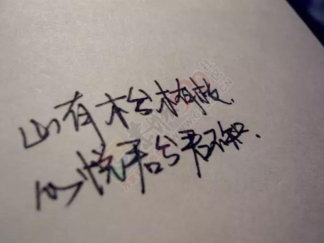 看了《中国诗词大会》才知道，元宵节竟可以这样表白！858 / 作者:Iris-- / 帖子ID:191678