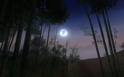 看了《中国诗词大会》才知道，元宵节竟可以这样表白！353 / 作者:Iris-- / 帖子ID:191678
