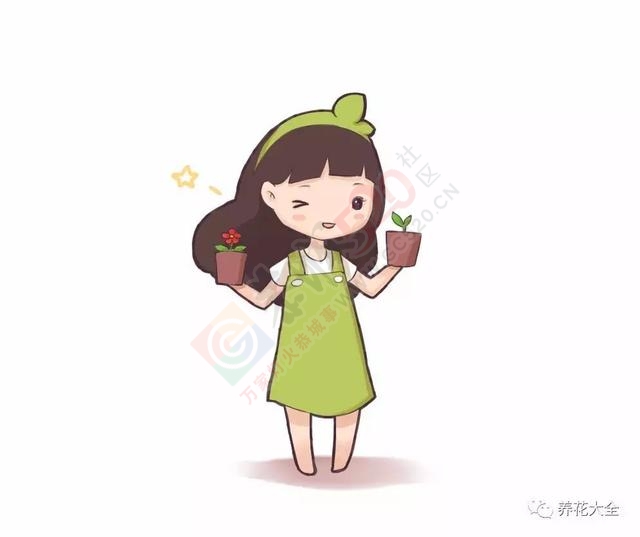 警惕，客厅卧室厨房养花，植物选不对影响家人健康，后悔一生410 / 作者:怡儿妖妖 / 帖子ID:192019