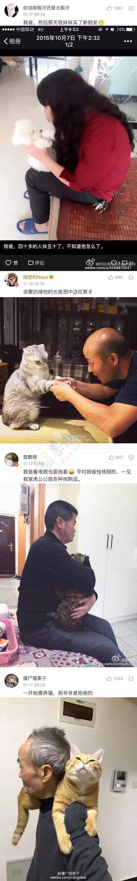 不要让父母养宠物，否则你会活得不如一只狗！617 / 作者:怡儿妖妖 / 帖子ID:192023