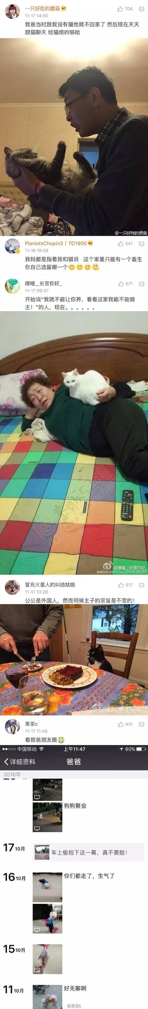 不要让父母养宠物，否则你会活得不如一只狗！806 / 作者:怡儿妖妖 / 帖子ID:192023