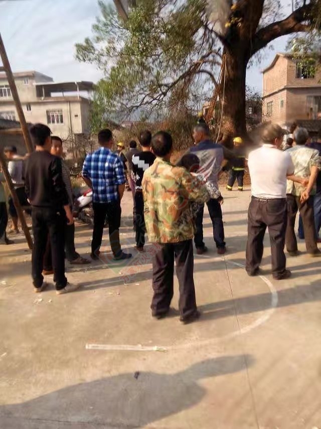 【古树惹了谁】恭城西岭石脚村古樟树无端失火，消防紧急出动。478 / 作者:社区小编 / 帖子ID:192221