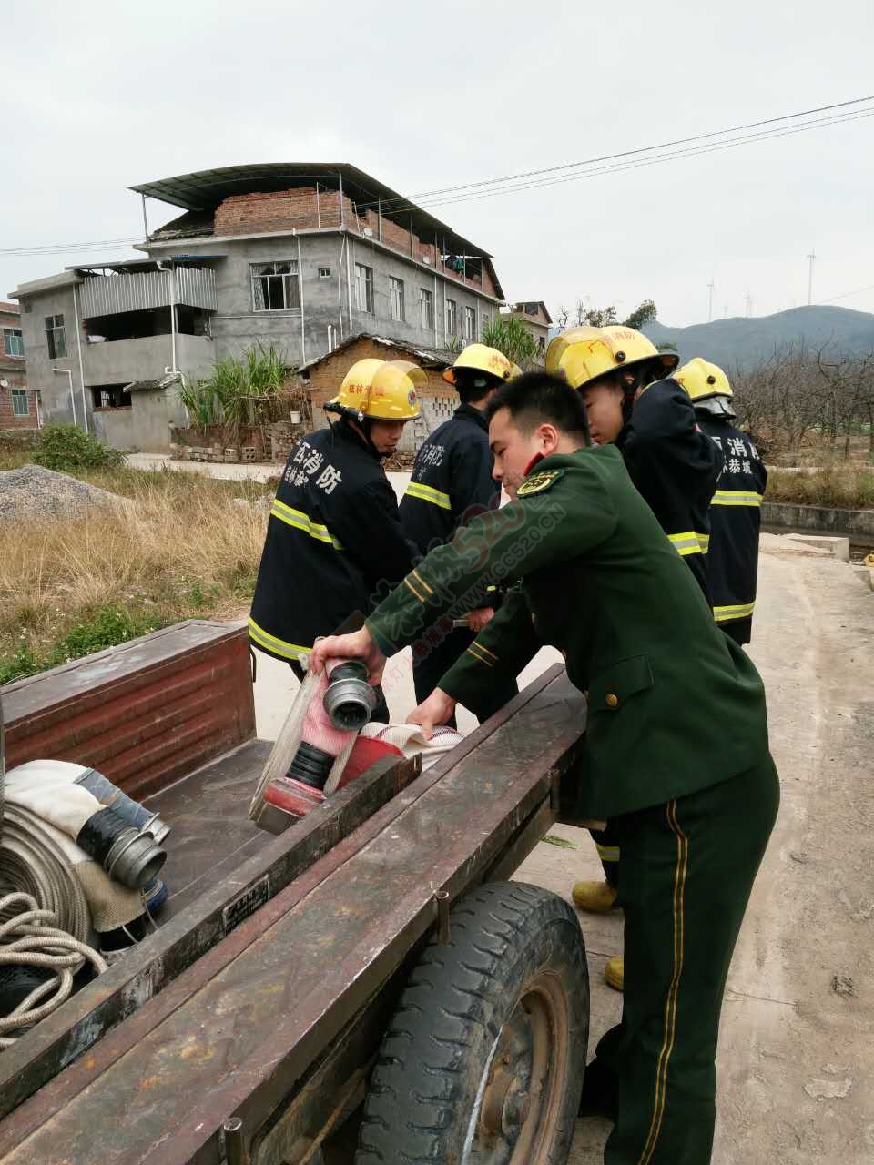 西岭石脚古树再度起火，百年老树究竟还要遭遇多少？686 / 作者:猫小萌 / 帖子ID:192505