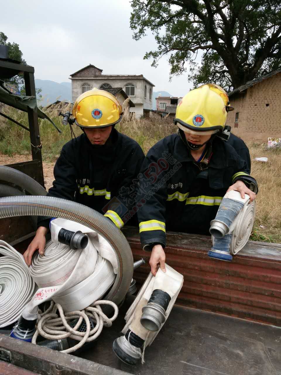 西岭石脚古树再度起火，百年老树究竟还要遭遇多少？916 / 作者:猫小萌 / 帖子ID:192505