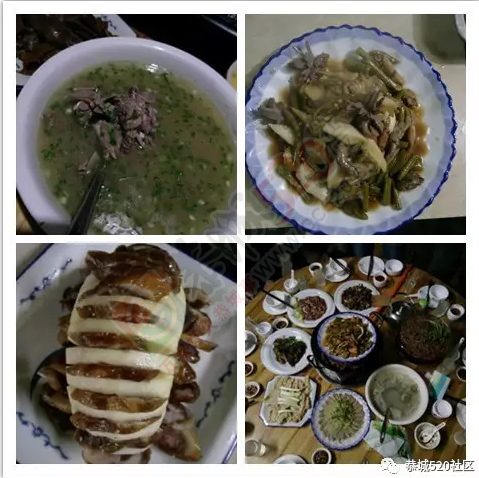 这个农庄究竟有什么魔力？能让人一呆就是一天。438 / 作者:怡儿妖妖 / 帖子ID:192707