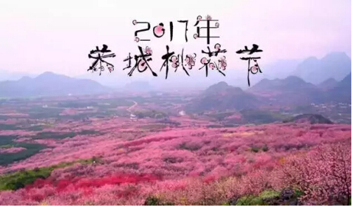第十五届桂林恭城桃花节旅游扶贫公益行动——爱的桃花季，因你更烂漫！763 / 作者:罗少爷 / 帖子ID:192666
