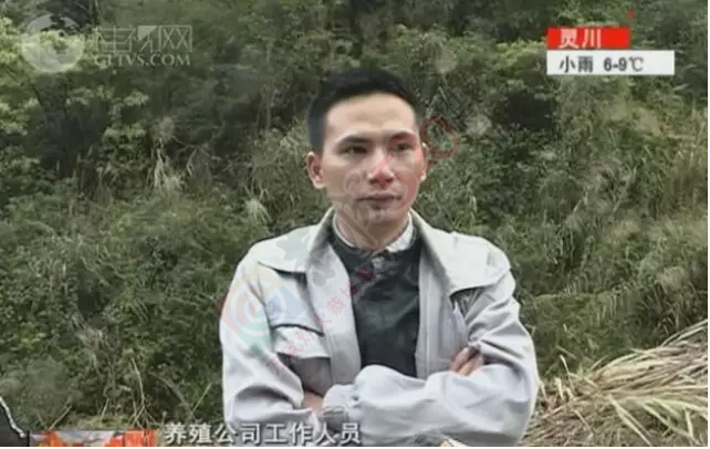 桂林桃花江源头，大量死鸡漂浮在江面上，场面惊悚！152 / 作者:怡儿妖妖 / 帖子ID:192820