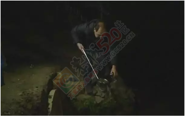 桂林桃花江源头，大量死鸡漂浮在江面上，场面惊悚！463 / 作者:怡儿妖妖 / 帖子ID:192820