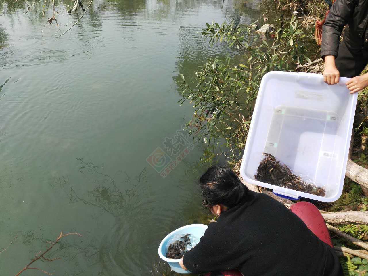 初一焚香吃斋，愿一切安好306 / 作者:怡儿妖妖 / 帖子ID:192909