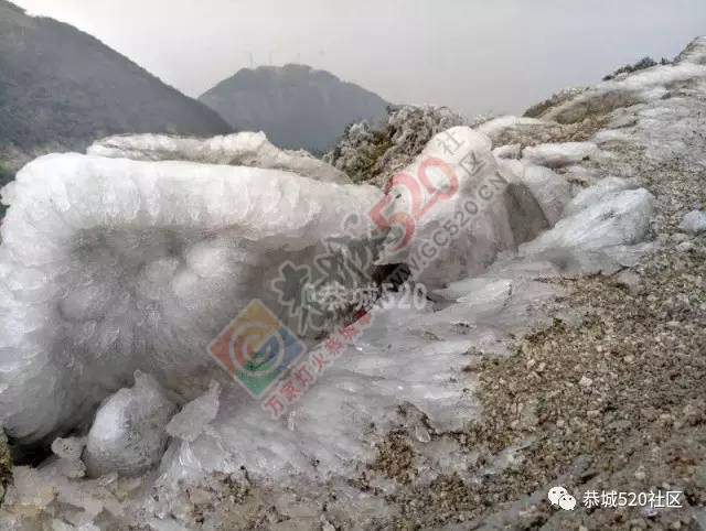 来恭城只能看桃花吗？听说燕子山上到处结冰美不胜收，约吗？322 / 作者:怡儿妖妖 / 帖子ID:192947