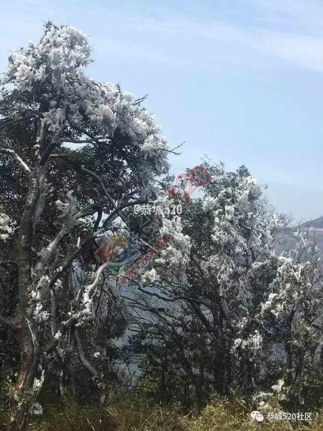 来恭城只能看桃花吗？听说燕子山上到处结冰美不胜收，约吗？634 / 作者:怡儿妖妖 / 帖子ID:192947