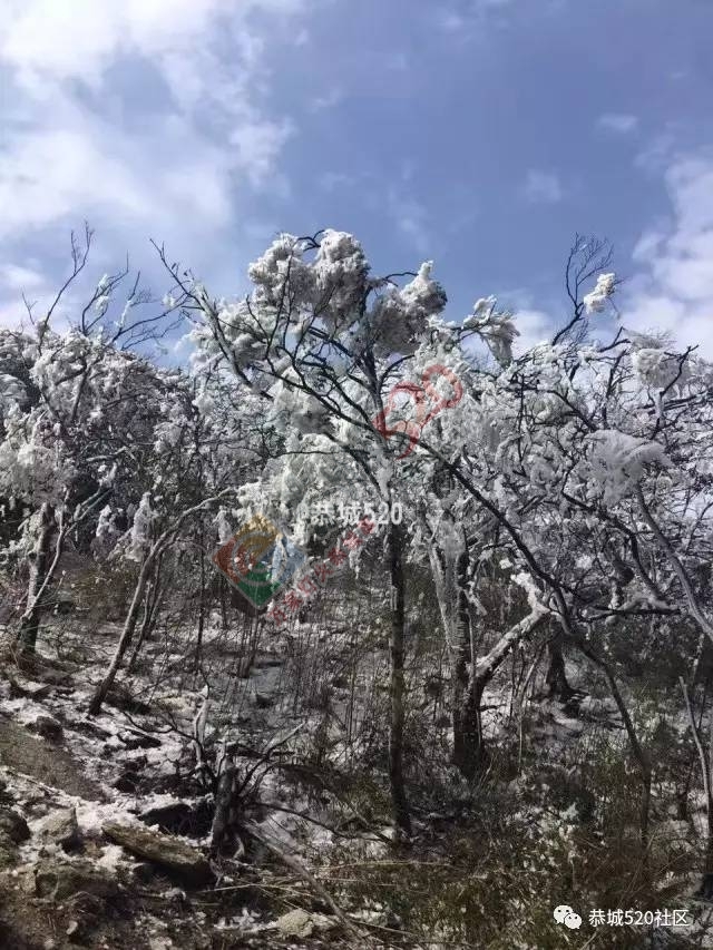 来恭城只能看桃花吗？听说燕子山上到处结冰美不胜收，约吗？898 / 作者:怡儿妖妖 / 帖子ID:192947
