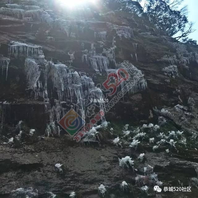 来恭城只能看桃花吗？听说燕子山上到处结冰美不胜收，约吗？576 / 作者:怡儿妖妖 / 帖子ID:192947
