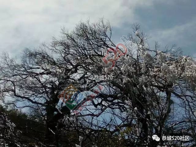来恭城只能看桃花吗？听说燕子山上到处结冰美不胜收，约吗？284 / 作者:怡儿妖妖 / 帖子ID:192947