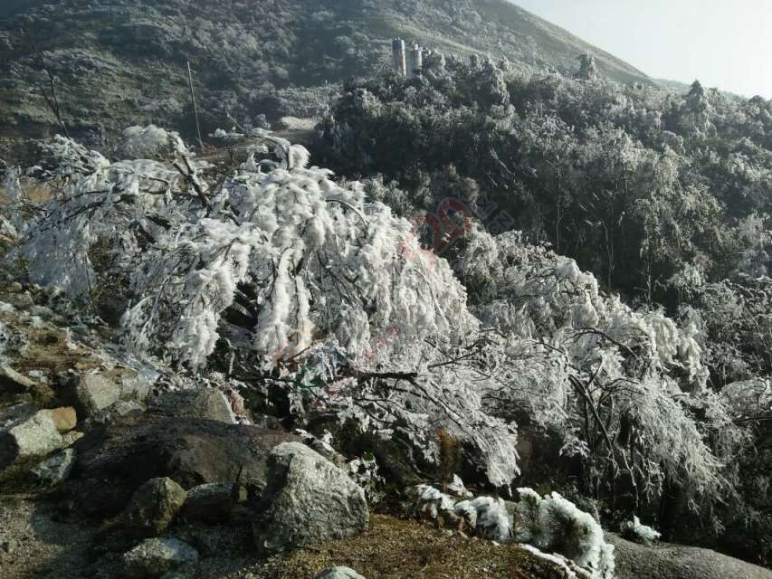 燕子山雪景  来一波741 / 作者:侑倪々僦侑硪 / 帖子ID:193044