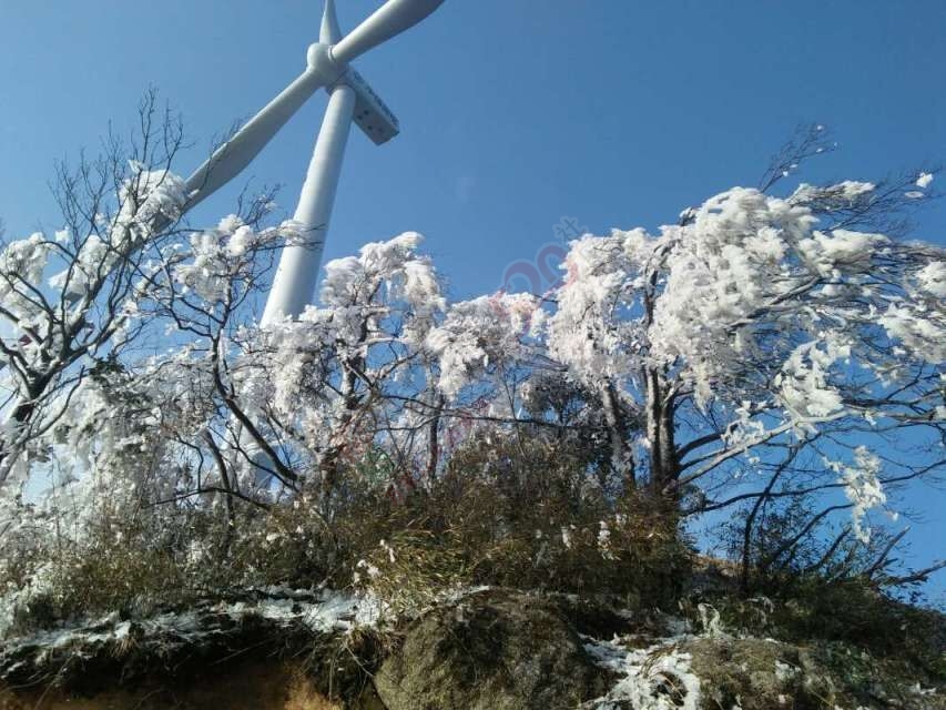 燕子山雪景  来一波507 / 作者:侑倪々僦侑硪 / 帖子ID:193044