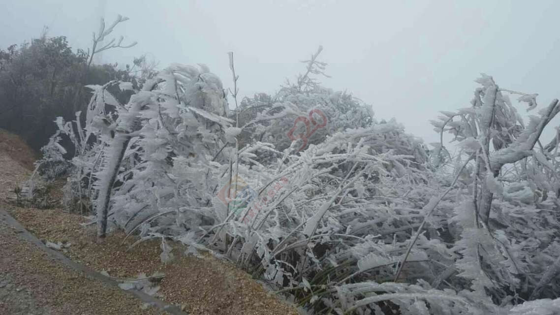 燕子山雪景  来一波708 / 作者:侑倪々僦侑硪 / 帖子ID:193044