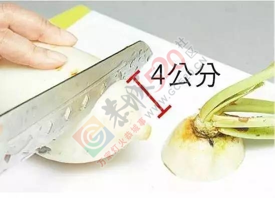 刮鱼鳞还用什么菜刀，一截萝卜轻松搞定，省时省力还干净！642 / 作者:碧澄匀 / 帖子ID:193073