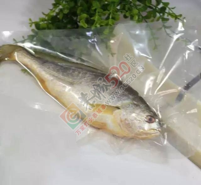 刮鱼鳞还用什么菜刀，一截萝卜轻松搞定，省时省力还干净！932 / 作者:碧澄匀 / 帖子ID:193073