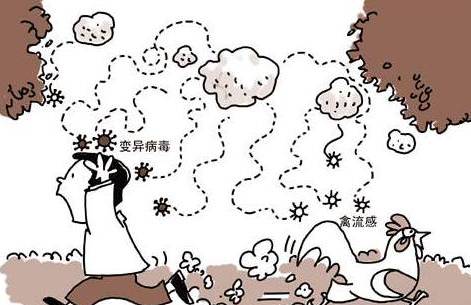 恭城县卫计局召开人感染H7N9禽流感防控技术培训会，H7N9：疾控专家的8个权威解答！108 / 作者:社区小编 / 帖子ID:193156