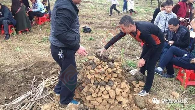 嘉会太平窑仔窖，桃园美景叫花鸡！恭城这群人玩嗨了，明天继续你约吗？54 / 作者:社区小编 / 帖子ID:193411