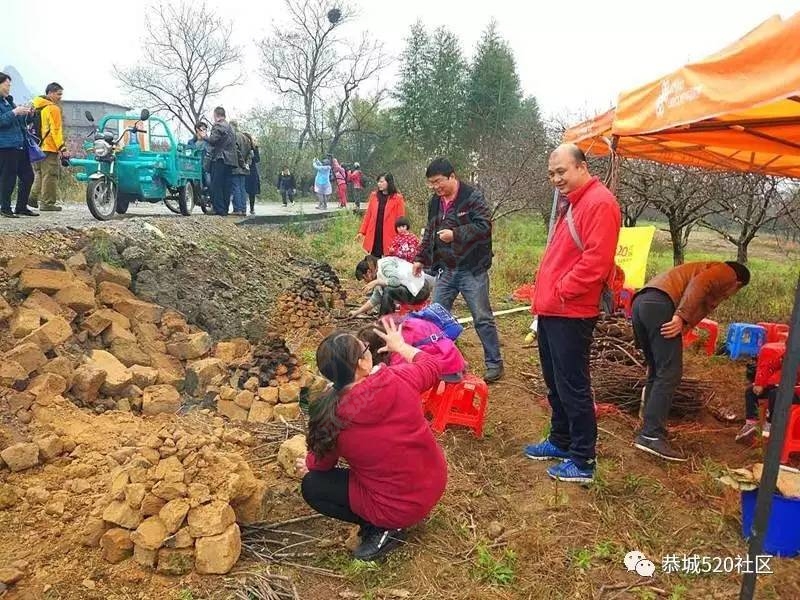 嘉会太平窑仔窖，桃园美景叫花鸡！恭城这群人玩嗨了，明天继续你约吗？868 / 作者:社区小编 / 帖子ID:193411