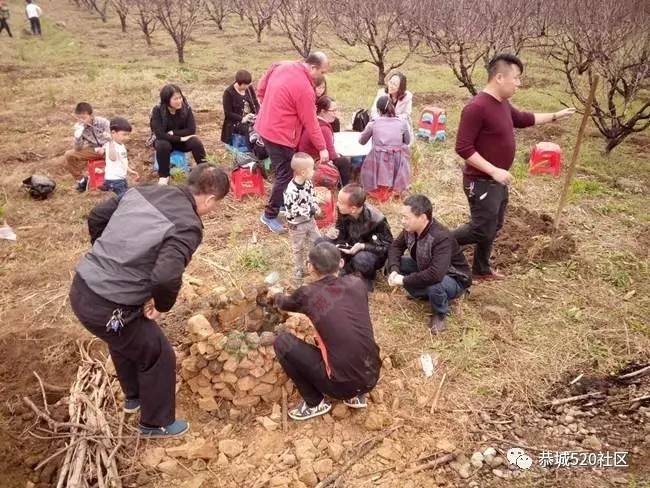 嘉会太平窑仔窖，桃园美景叫花鸡！恭城这群人玩嗨了，明天继续你约吗？692 / 作者:社区小编 / 帖子ID:193411