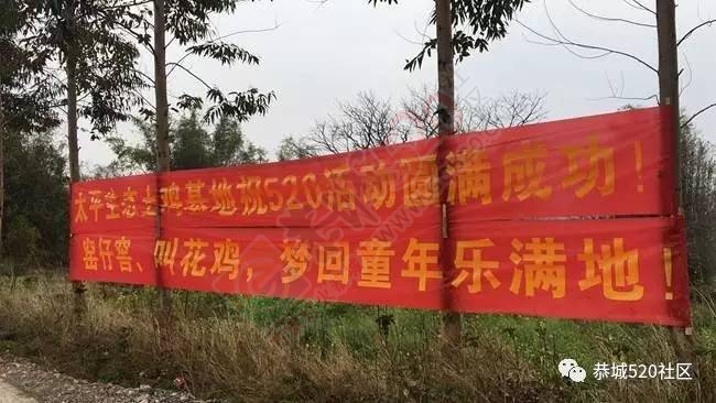 嘉会太平窑仔窖，桃园美景叫花鸡！恭城这群人玩嗨了，明天继续你约吗？784 / 作者:社区小编 / 帖子ID:193411