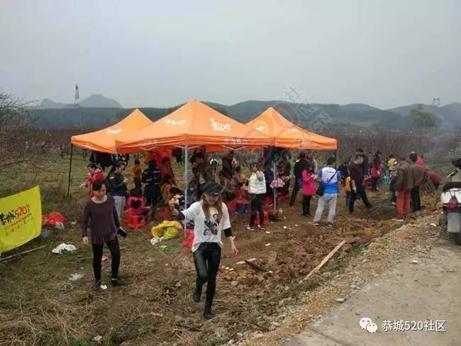 嘉会太平窑仔窖，桃园美景叫花鸡！恭城这群人玩嗨了，明天继续你约吗？377 / 作者:社区小编 / 帖子ID:193411