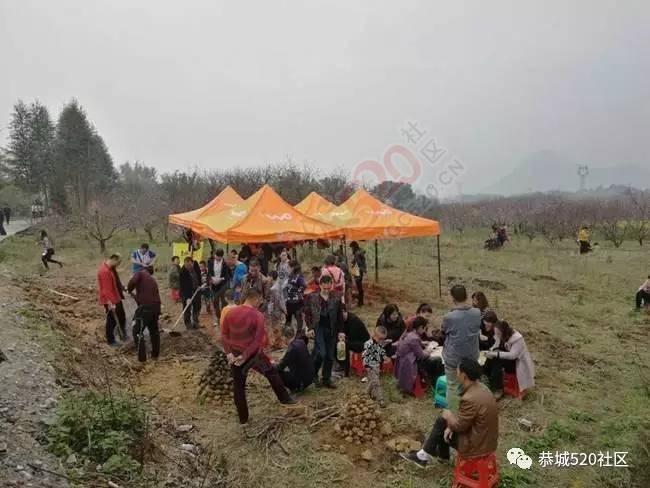 嘉会太平窑仔窖，桃园美景叫花鸡！恭城这群人玩嗨了，明天继续你约吗？216 / 作者:社区小编 / 帖子ID:193411