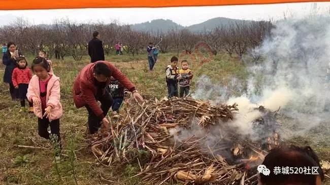 嘉会太平窑仔窖，桃园美景叫花鸡！恭城这群人玩嗨了，明天继续你约吗？102 / 作者:社区小编 / 帖子ID:193411