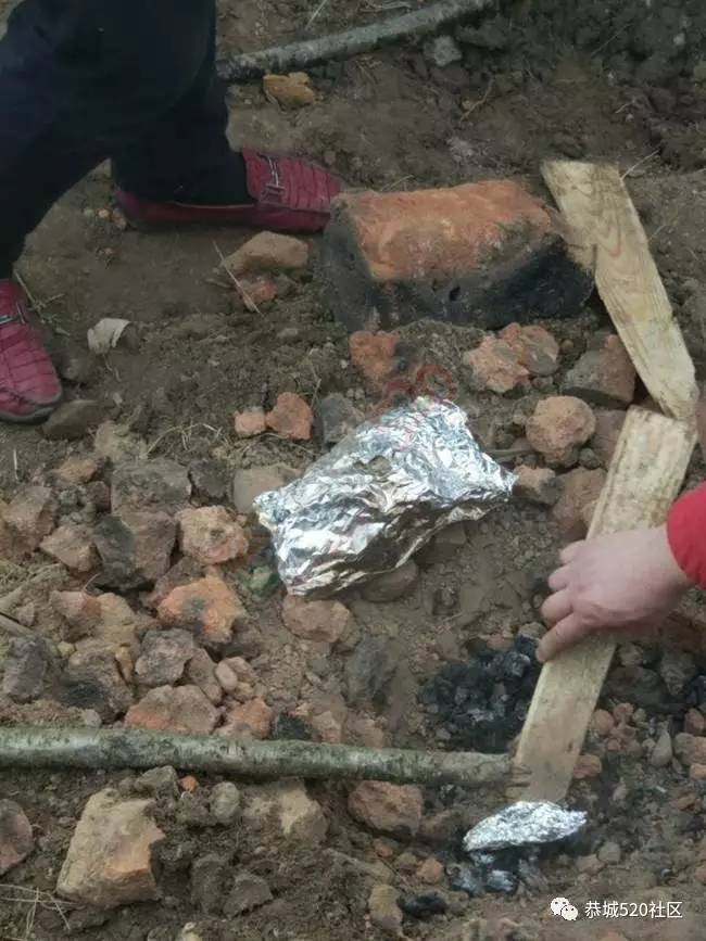 嘉会太平窑仔窖，桃园美景叫花鸡！恭城这群人玩嗨了，明天继续你约吗？987 / 作者:社区小编 / 帖子ID:193411