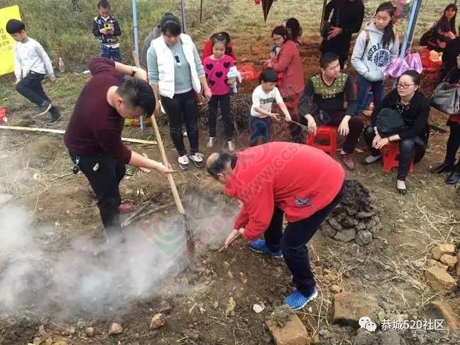 嘉会太平窑仔窖，桃园美景叫花鸡！恭城这群人玩嗨了，明天继续你约吗？890 / 作者:社区小编 / 帖子ID:193411