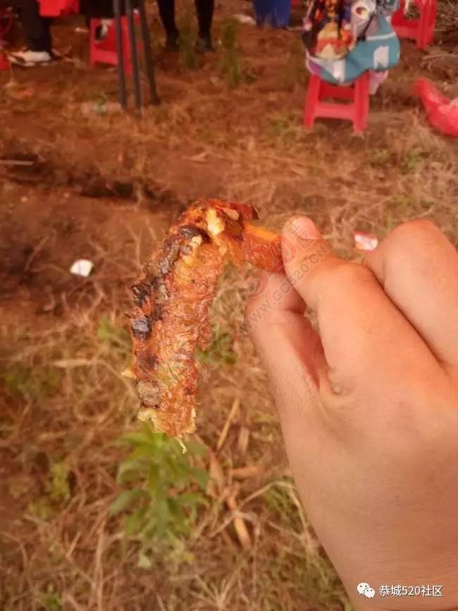 嘉会太平窑仔窖，桃园美景叫花鸡！恭城这群人玩嗨了，明天继续你约吗？595 / 作者:社区小编 / 帖子ID:193411