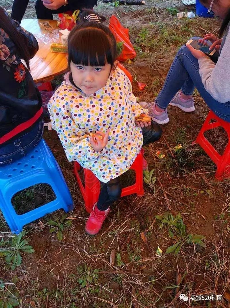 嘉会太平窑仔窖，桃园美景叫花鸡！恭城这群人玩嗨了，明天继续你约吗？571 / 作者:社区小编 / 帖子ID:193411