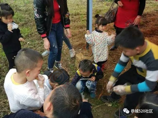 嘉会太平窑仔窖，桃园美景叫花鸡！恭城这群人玩嗨了，明天继续你约吗？657 / 作者:社区小编 / 帖子ID:193411