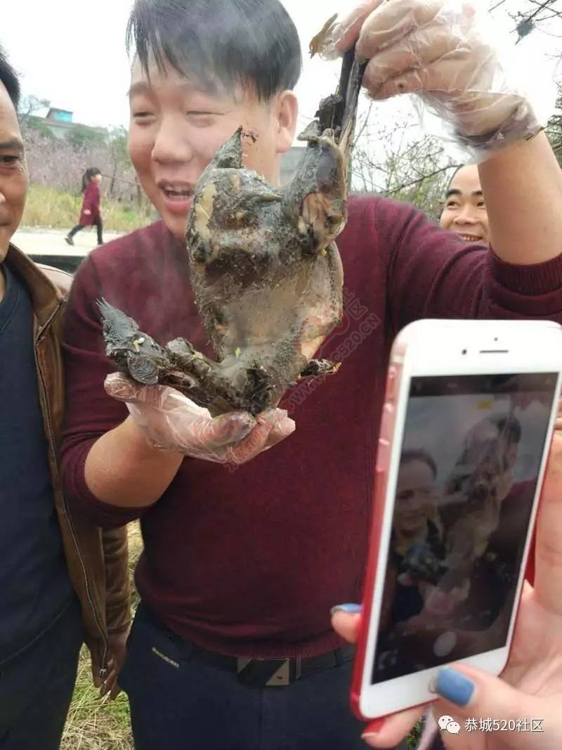 嘉会太平窑仔窖，桃园美景叫花鸡！恭城这群人玩嗨了，明天继续你约吗？132 / 作者:社区小编 / 帖子ID:193411