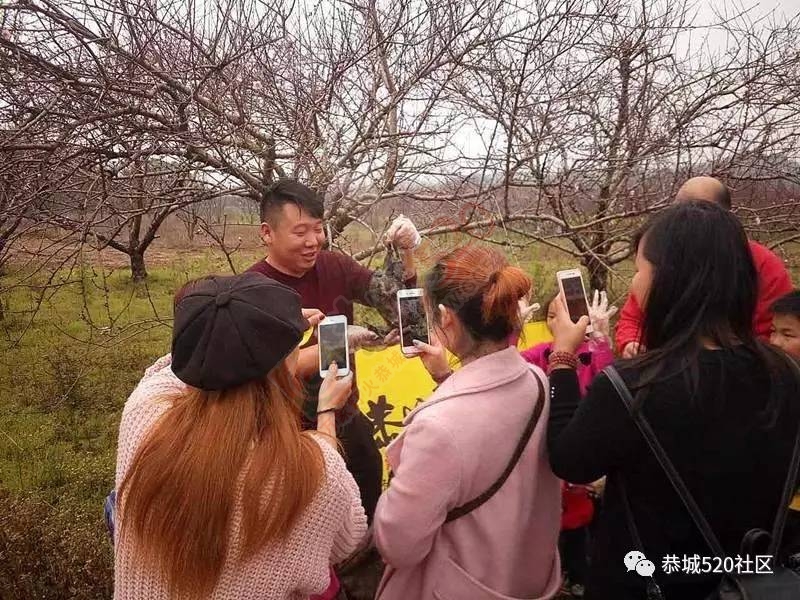 嘉会太平窑仔窖，桃园美景叫花鸡！恭城这群人玩嗨了，明天继续你约吗？104 / 作者:社区小编 / 帖子ID:193411