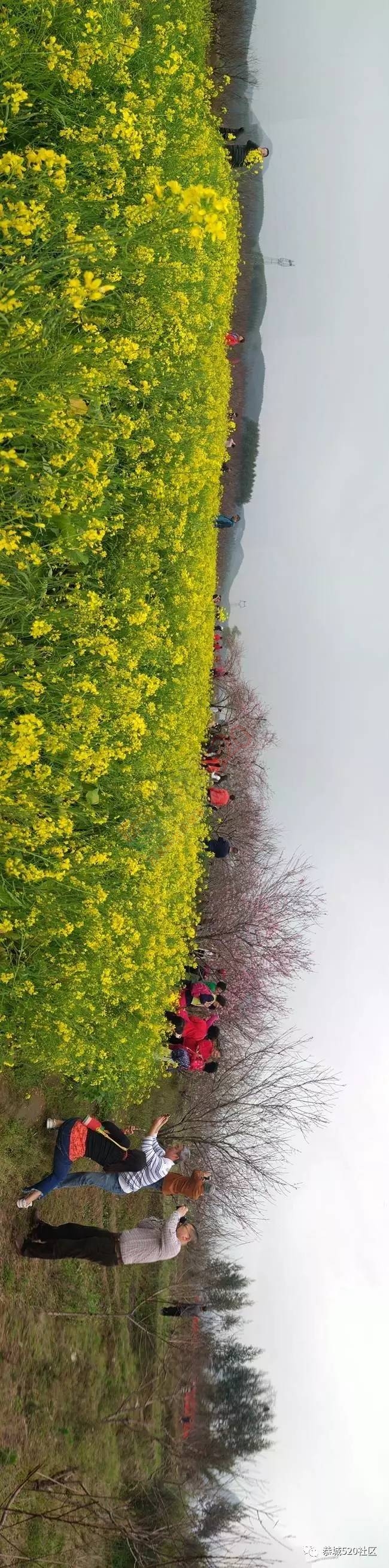 嘉会太平窑仔窖，桃园美景叫花鸡！恭城这群人玩嗨了，明天继续你约吗？301 / 作者:社区小编 / 帖子ID:193411